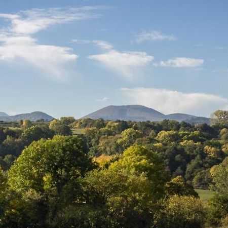 Vila Reves De Bois Loubeyrat Exteriér fotografie