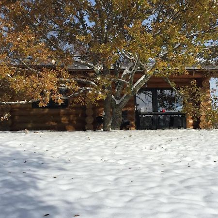 Vila Reves De Bois Loubeyrat Exteriér fotografie