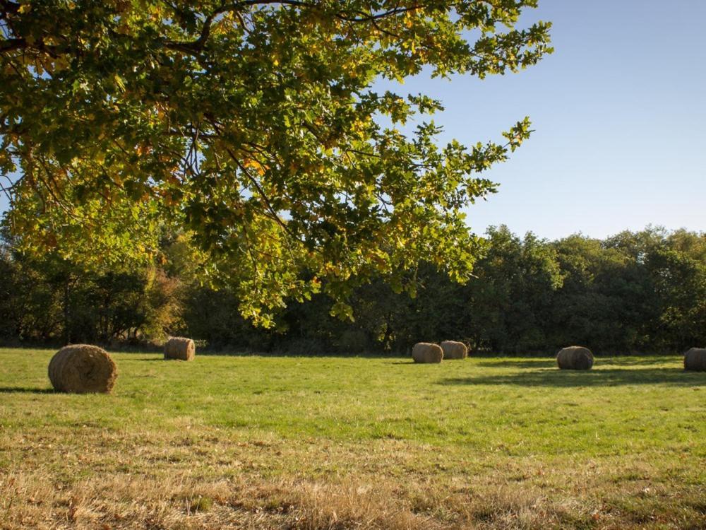 Vila Reves De Bois Loubeyrat Exteriér fotografie