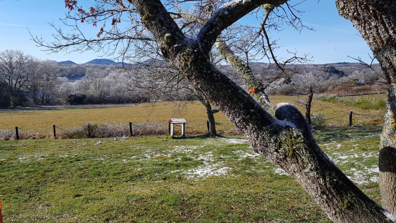 Vila Reves De Bois Loubeyrat Exteriér fotografie